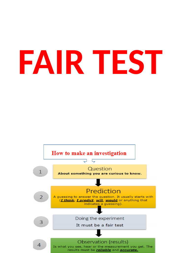 How To Conduct An Investigation | PDF