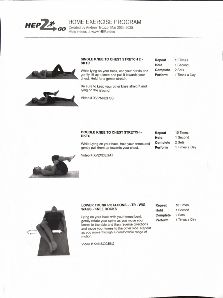 Home Exercise Program | PDF
