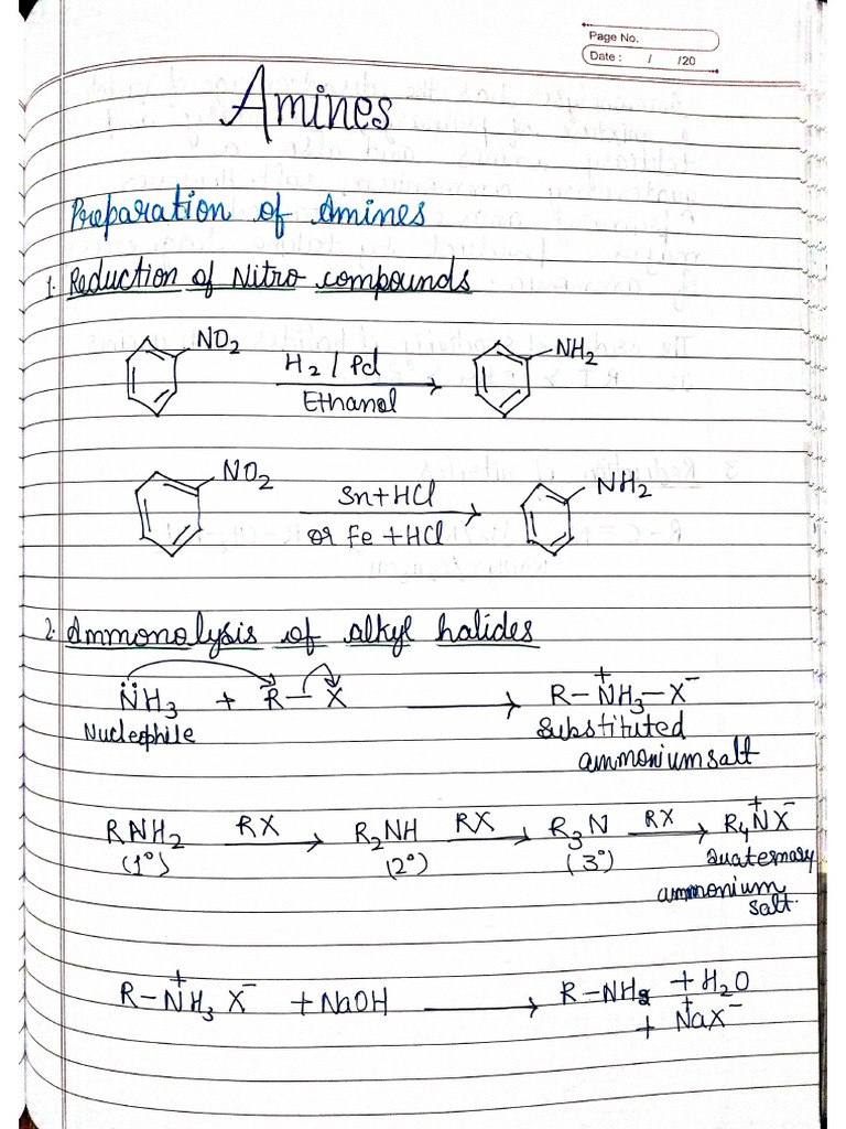 Share Amines 2 | PDF