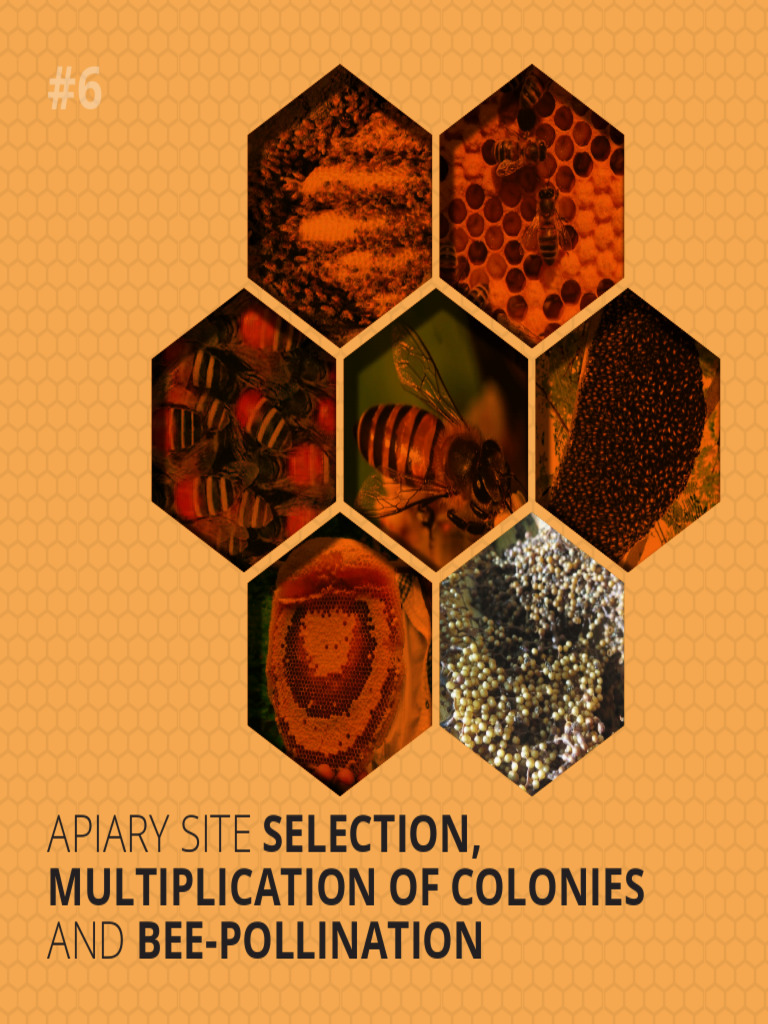6 - Brochure 6 - Apiary Site Selection - Colony Division | PDF ...