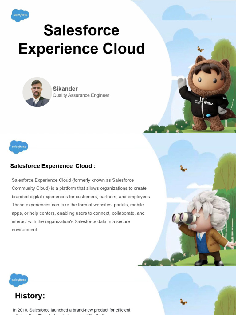 Mastering Salesforce Experience Cloud Guide | PDF | Cloud Computing ...
