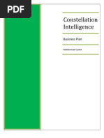 Constellation Intelligence  Business Plan