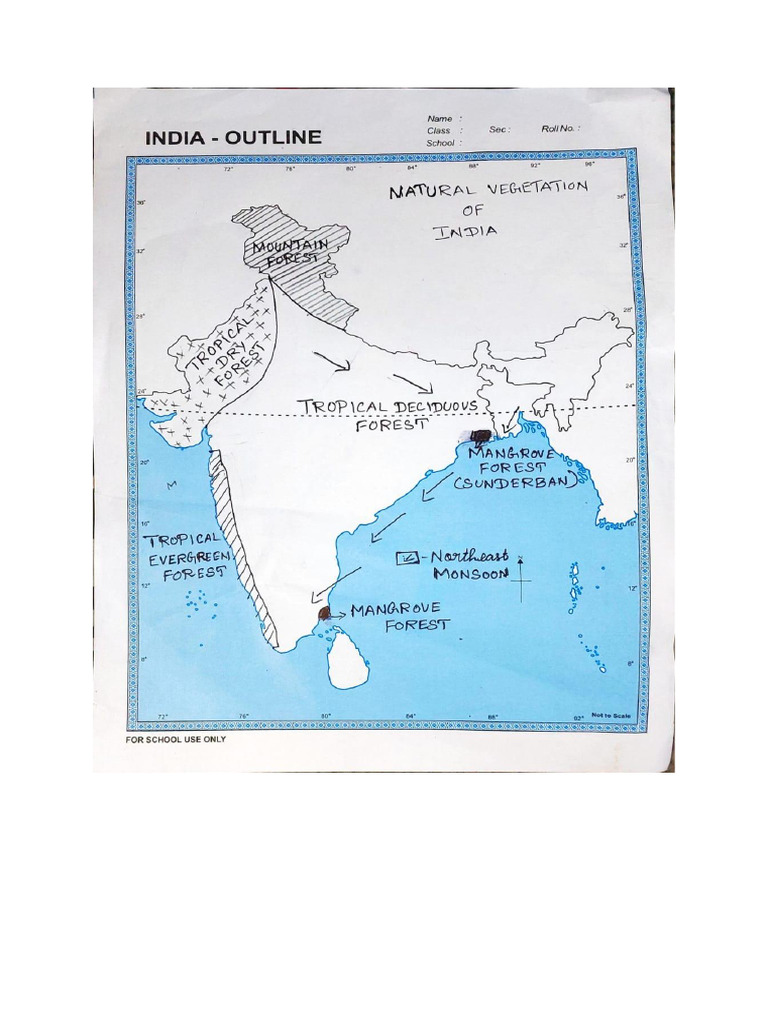Social Map | PDF
