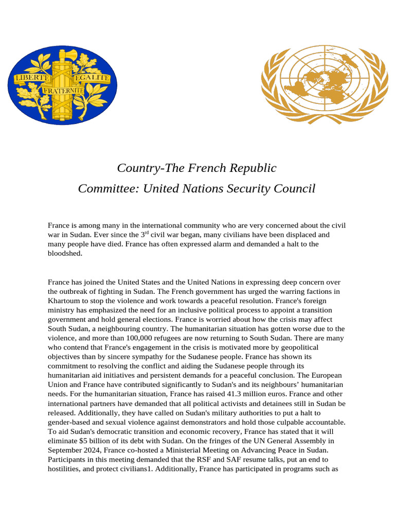 Position Paper UNSC FRANCE | PDF | Sudan | International Relations