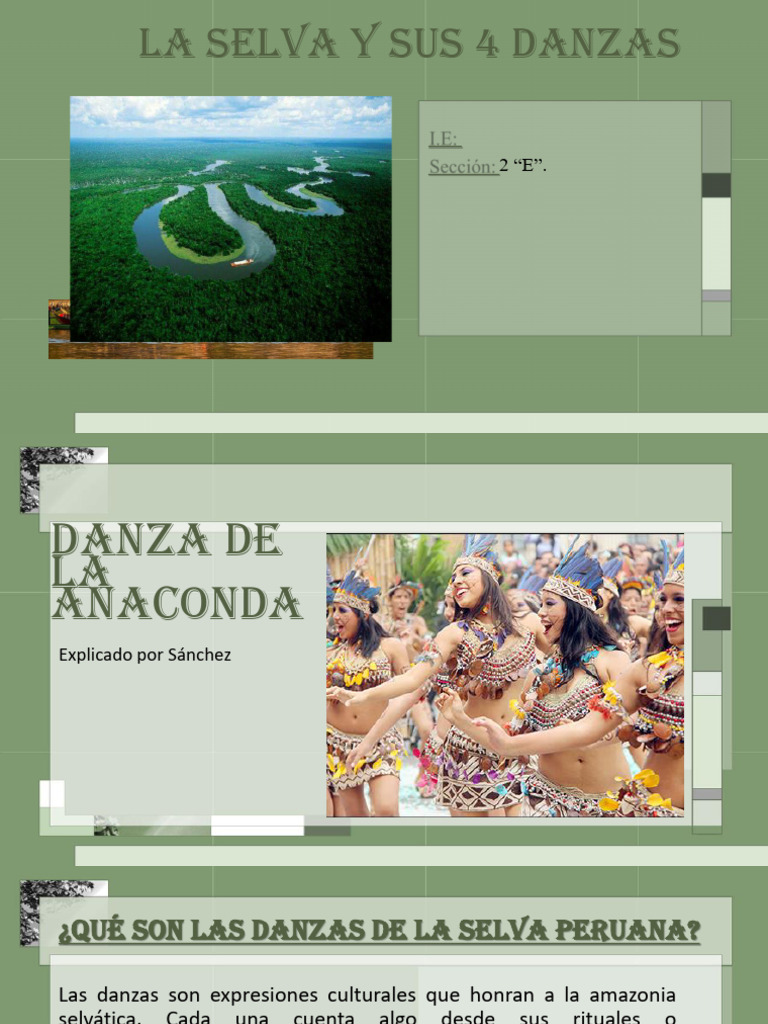 Cuatro Danzas De La Selva Peruana Pdf Bailes Chamanismo 