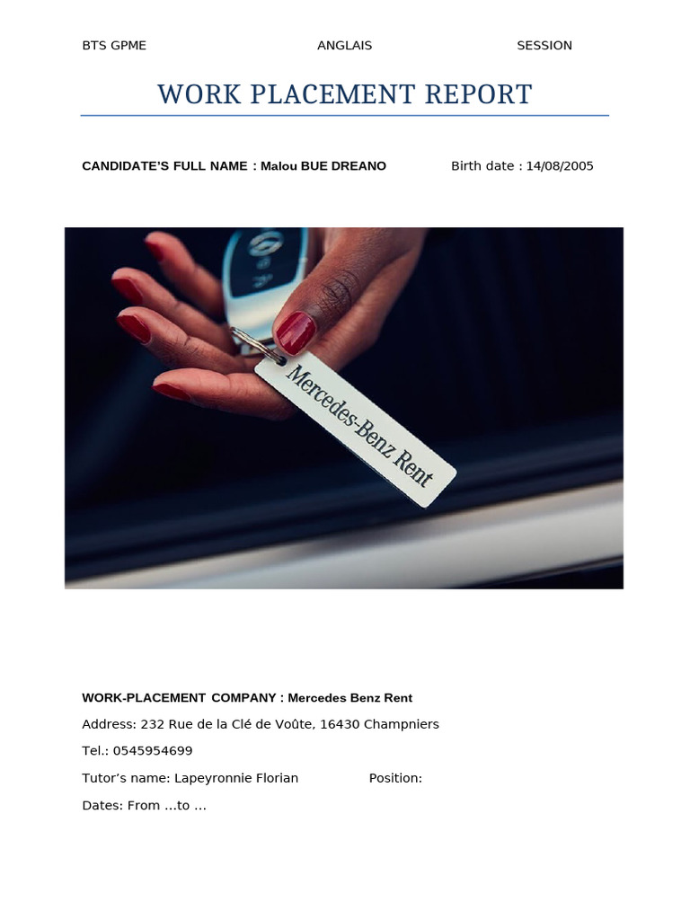 BTS GPME Work Placement Report | PDF