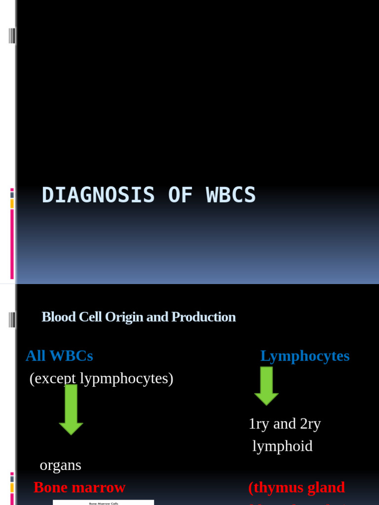 WBC Diagnosis and Hemostasis Testing Guide | PDF | White Blood Cell ...