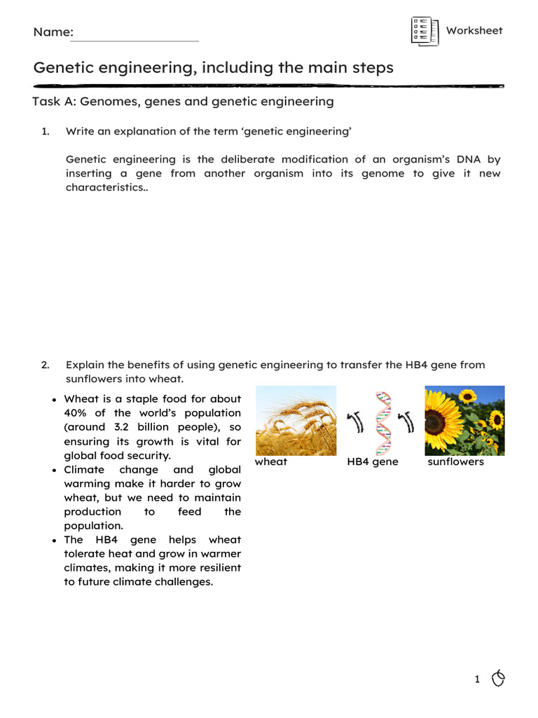 Genetic Engineering - Worksheet-Questions PDF | PDF | Genetic ...