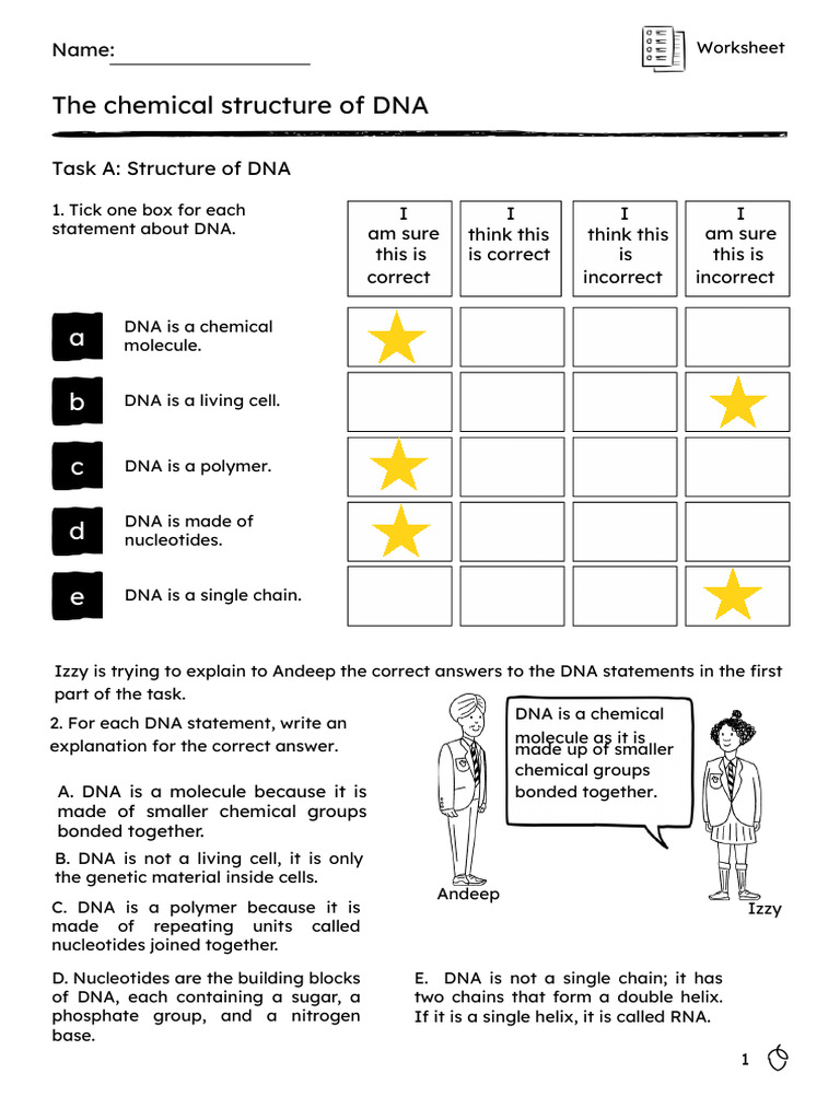 Understanding DNA's Chemical Structure | PDF | Dna | Nucleic Acid Sequence