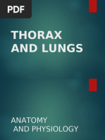 Types of Chest Shapes Explained | PDF | Thorax | Causes Of Death