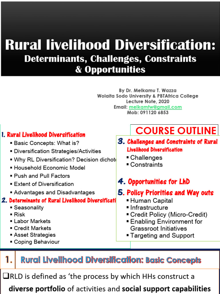 Rural Livelihood Diversification:: Determinants, Challenges ...