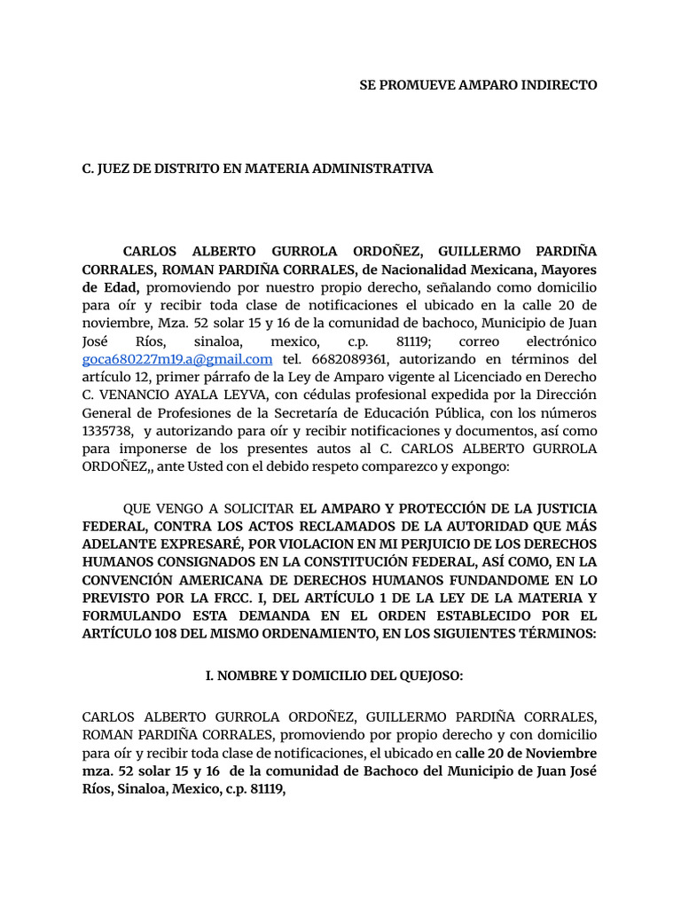 Amparo Indirecto por Violación de Derechos | PDF | Demanda judicial ...