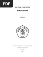 Contoh LAPORAN PRAKTIKUM