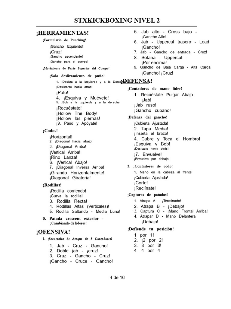 STX Kickboxing nivel 2 | PDF