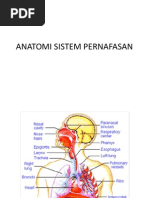 Download ANATOMI SISTEM PERNAFASAN by Starz Onlineshop SN91370654 doc pdf