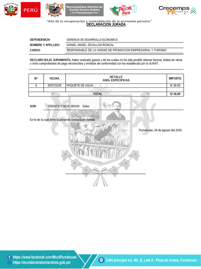 Declaración Jurada de Gastos 2025 | PDF
