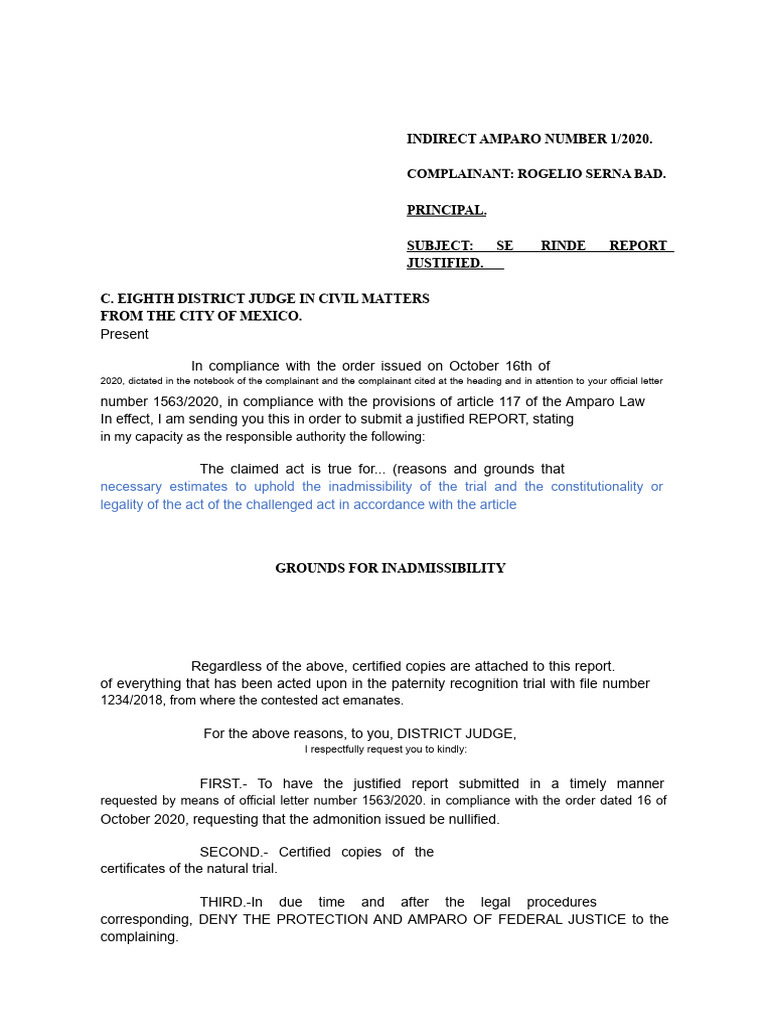 Justified Report - CSP Protection | PDF