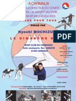 Affiche stage Kyoshi Mochizuki Carmaux 2012