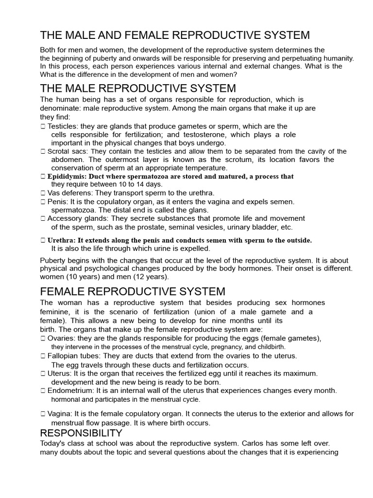 The Male and Female Reproductive System DPCC 1st | PDF | Reproductive ...
