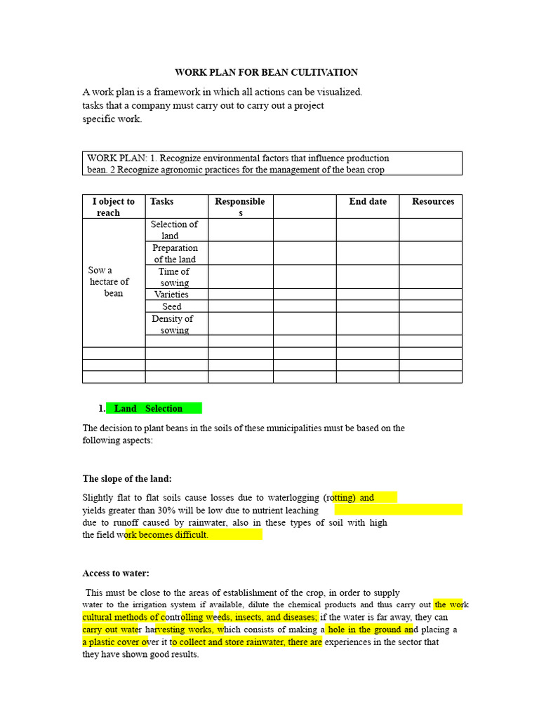 Bean Cultivation Work Plan Guide | PDF | Agriculture | Sowing