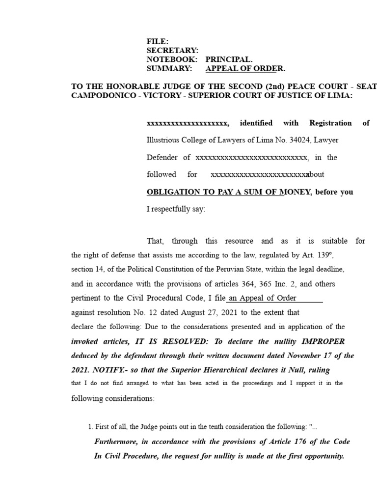 Appeal Against Nullity in Civil Case | PDF | Judgment (Law) | Judge