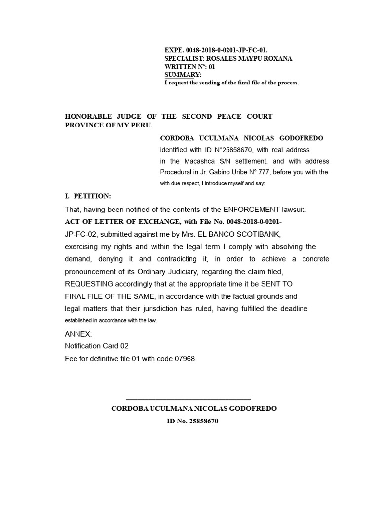 Petition for Final File in Court Case | PDF