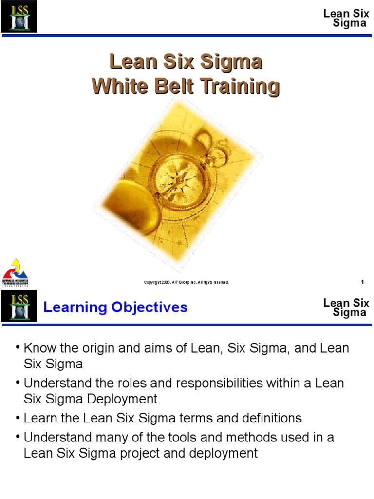 Lean Six Sigma Overview - White Belt Training | PDF | Lean ...