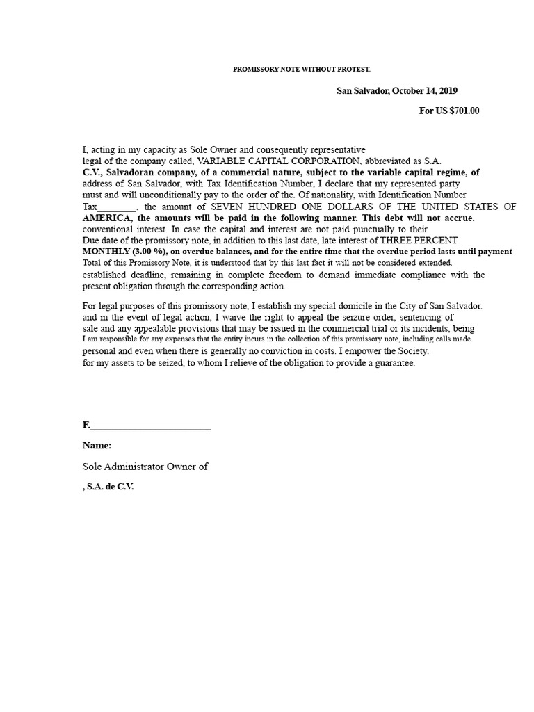 Promissory Note Template - No Protest | PDF