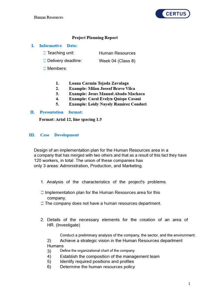 HR Implementation Plan for Merged Company | PDF | Employee Retention ...