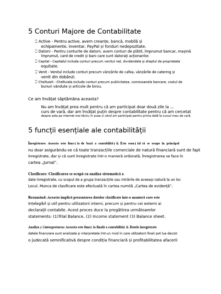 5 Conturi Majore de Contabilitate | PDF