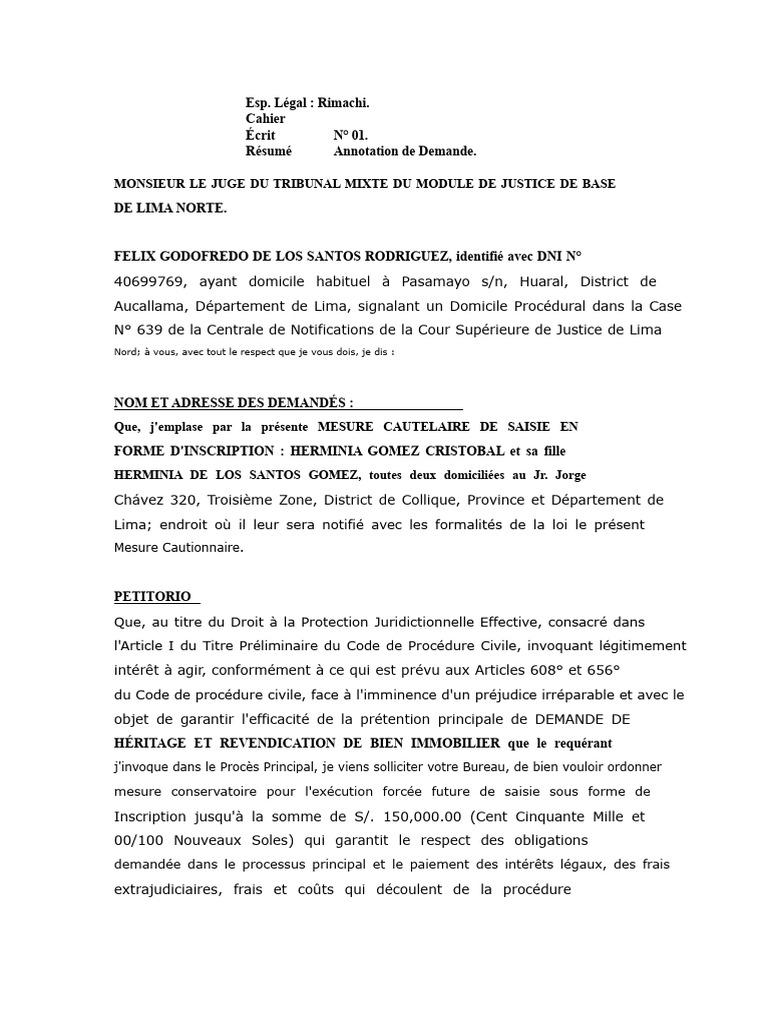 Demande de Saisie Conservatoire à Lima | PDF | Loi commune | Justice