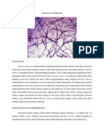 Bacillus Anthracis