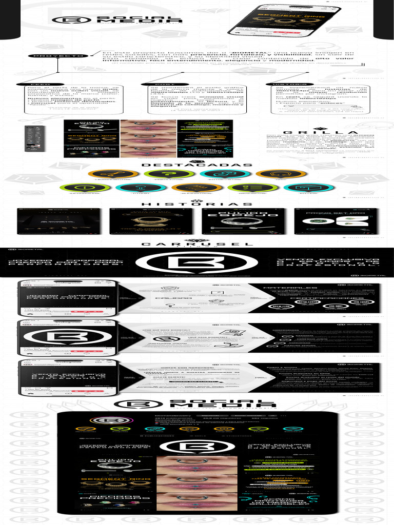 Plan de RRSS para Biometal Spa | PDF | Diseño