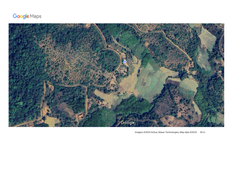 Google Maps | PDF