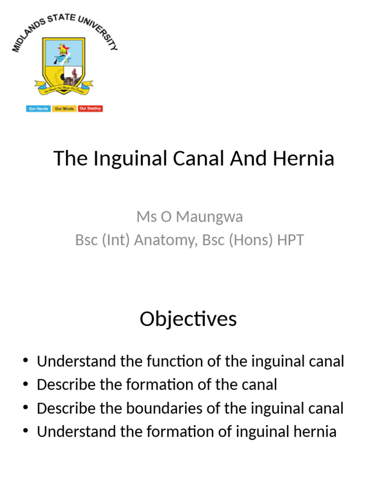 Od The Inguinal Canal and Hernia - PPTM | PDF
