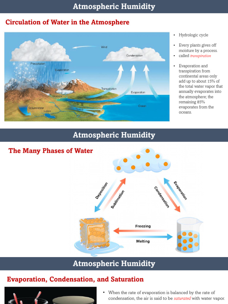 Atmospheric Humidity Clouds Precipitation | PDF | Water Vapor | Humidity