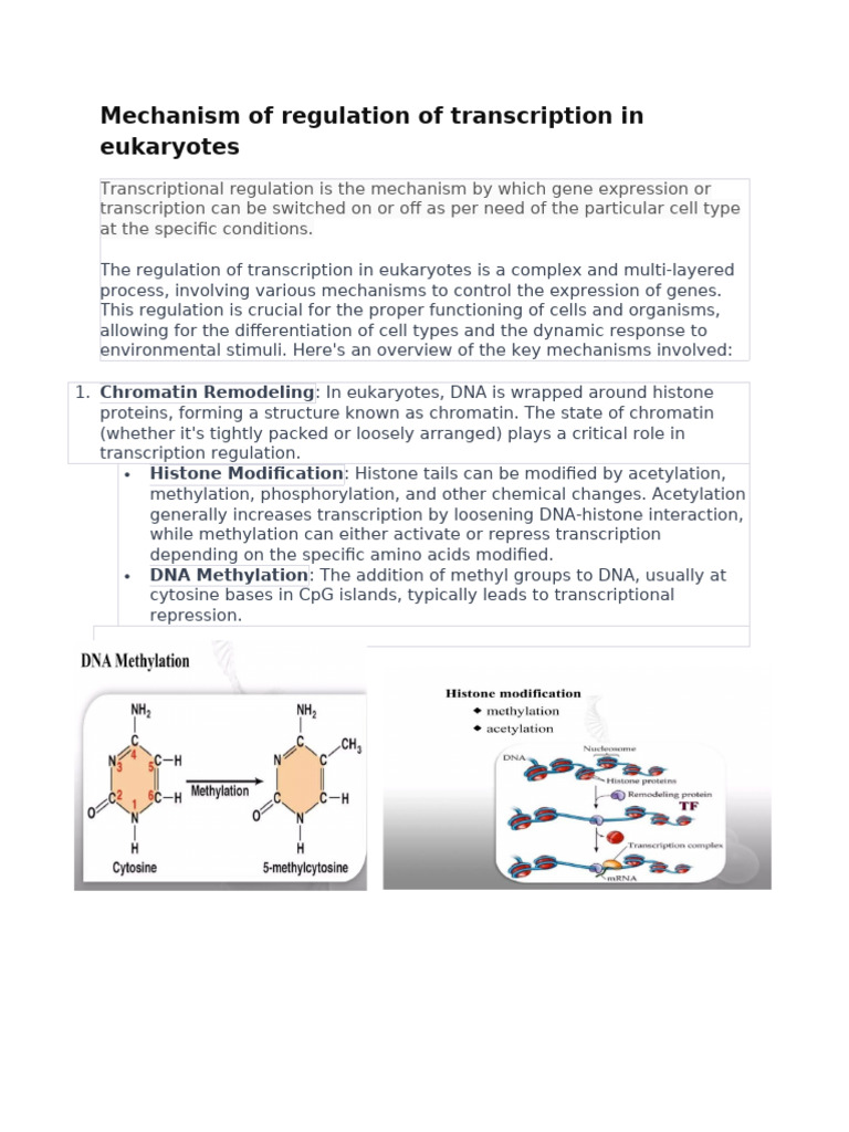 Eukaryotic Transcription Regulation Mechanisms | PDF | Regulation Of ...