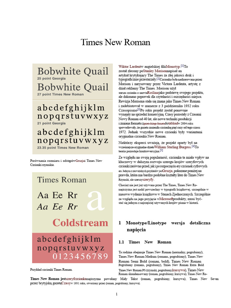 Times New Roman | PDF