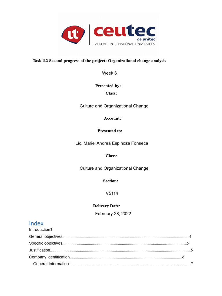 Task 6.2 Second Progress of The Project. Analysis of Organizational ...