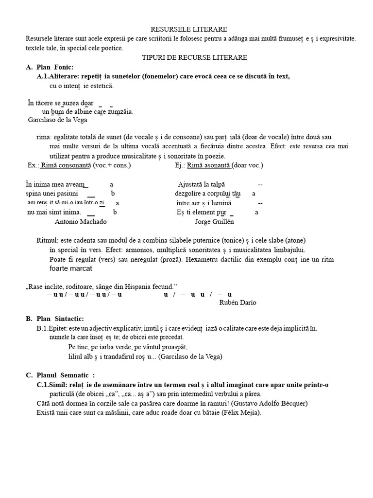 Resursele Literare | PDF