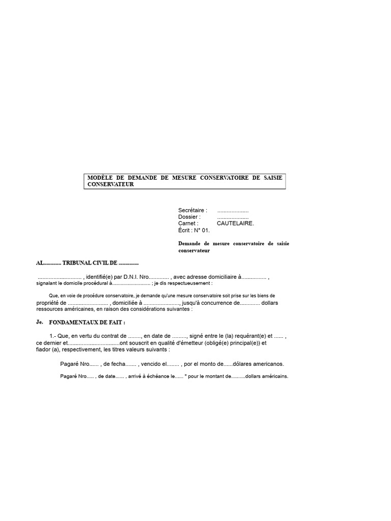 Demande de saisie conservatoire | PDF | Débiteur | Cautionnement