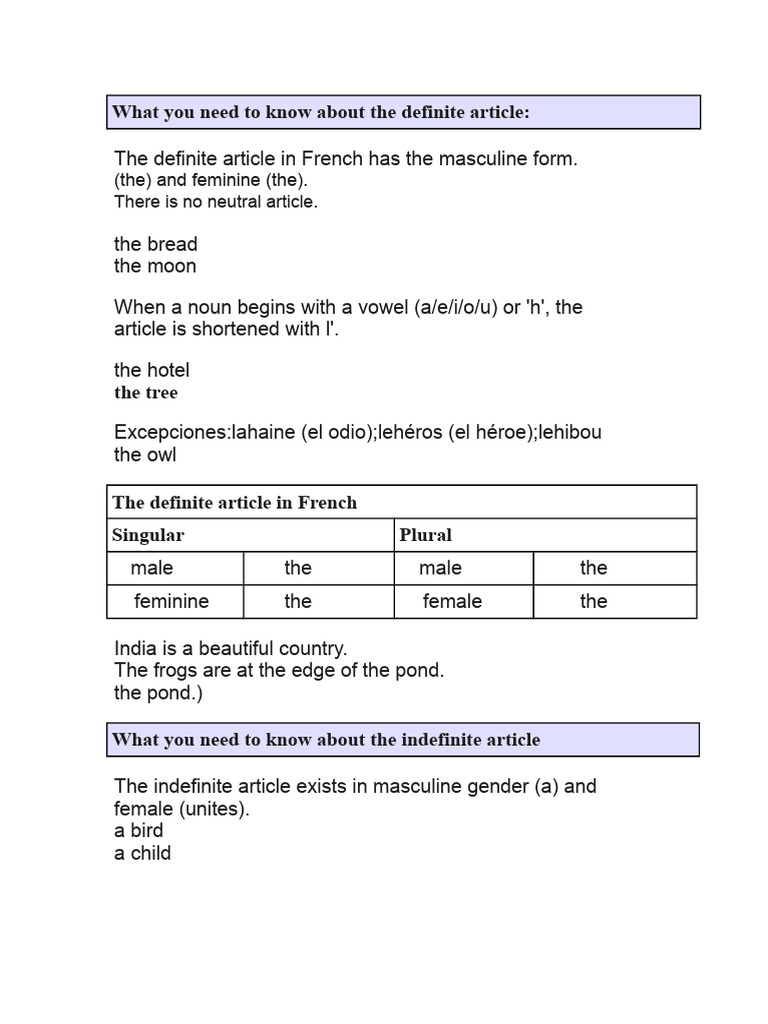 French Articles and Noun Gender Guide | PDF | Grammatical Gender ...