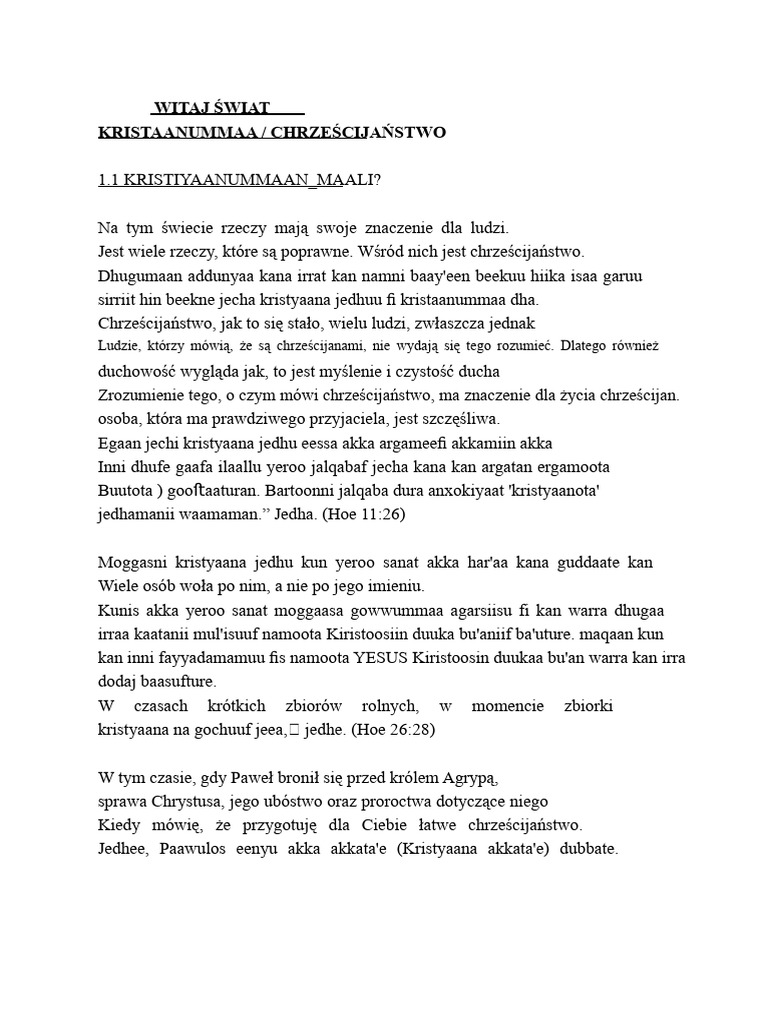 Isländisches Schaffell Mehrfarbig XL main image 1