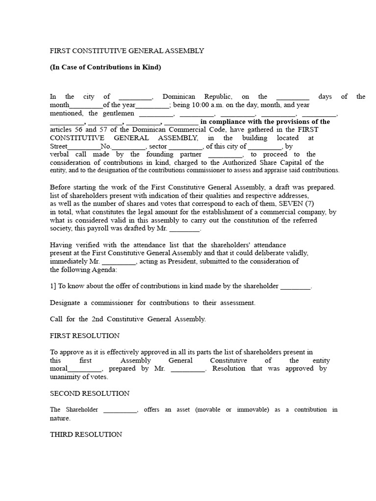 First Constitutive General Assembly Minutes | PDF | United Nations ...