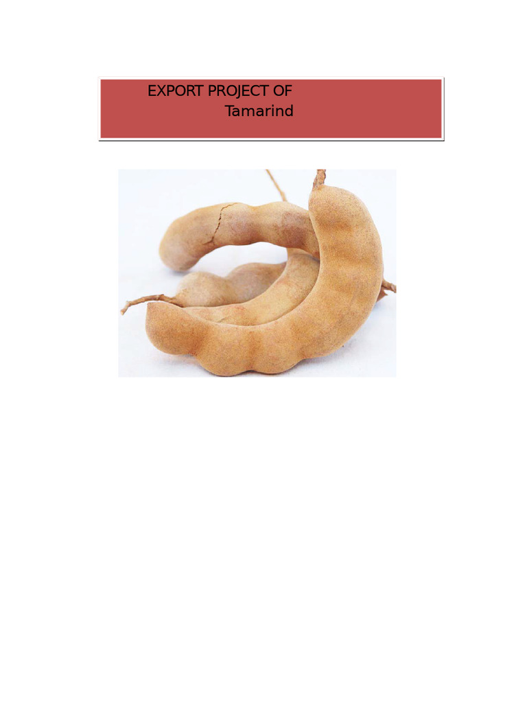 Tamarind Export Project | PDF | Letter Of Credit