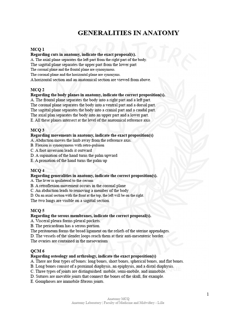 MCQ Generalities in Anatomy | PDF | Anatomical Terms Of Motion ...