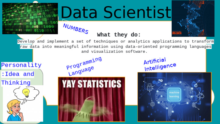 Data Scientist Role and Skills Overview | PDF