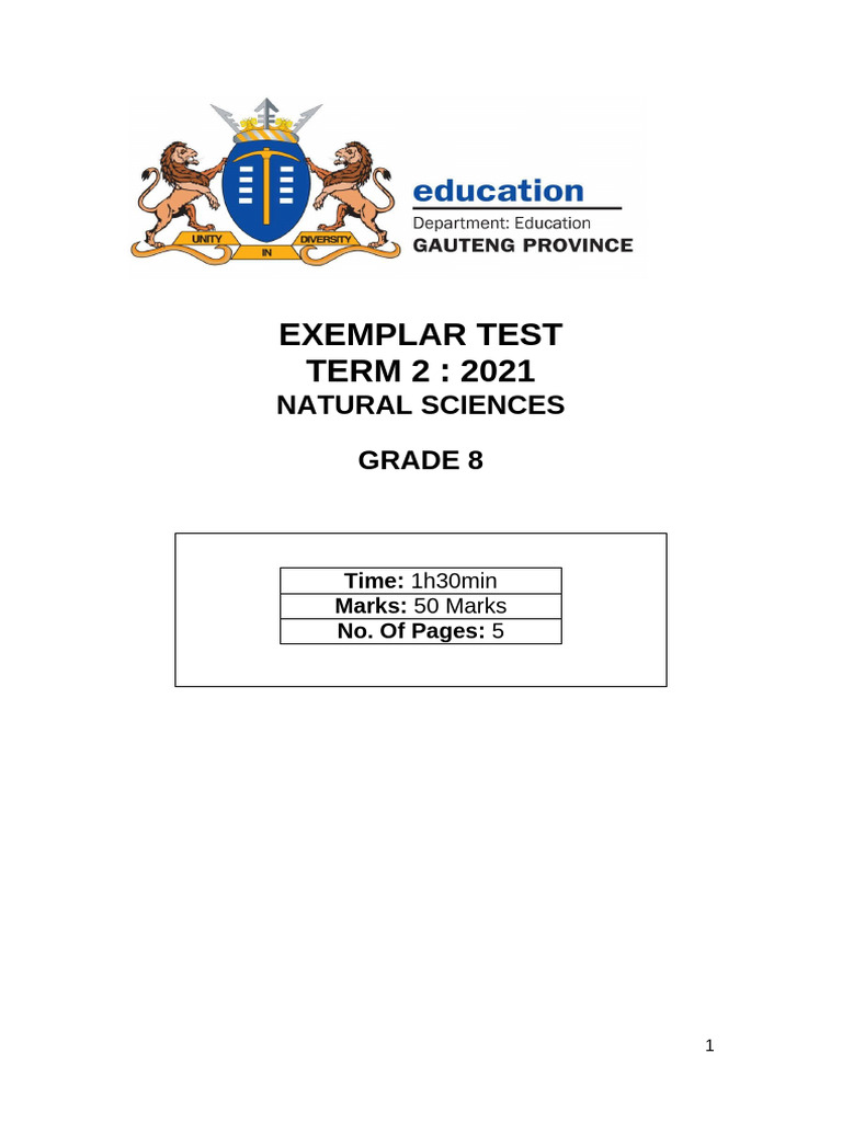 Grade 8 Exemplar Test Term 2 | PDF | Chemical Substances | Matter