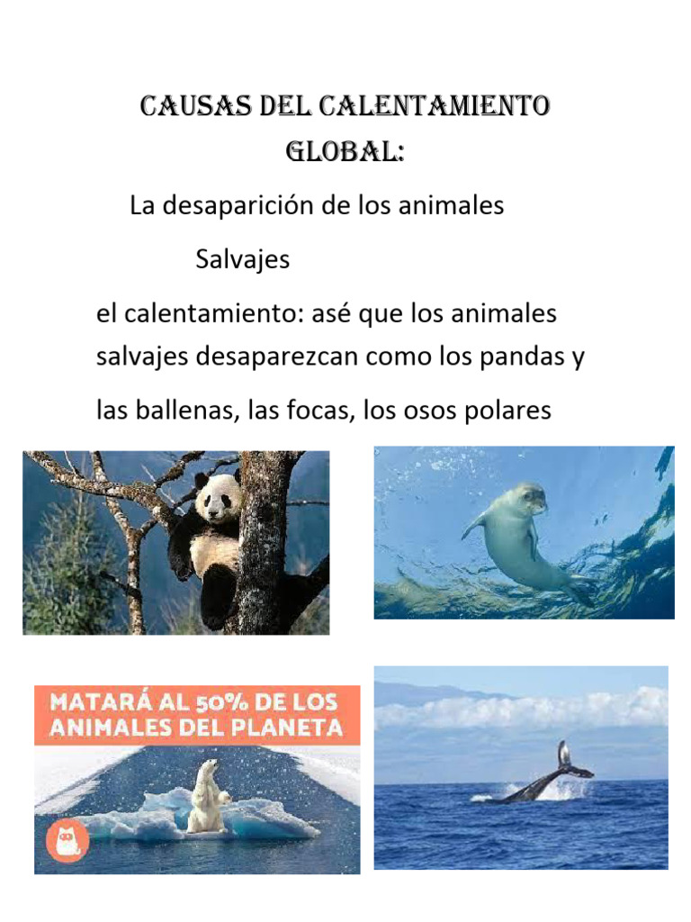 Causas Del Calentamiento Global | PDF