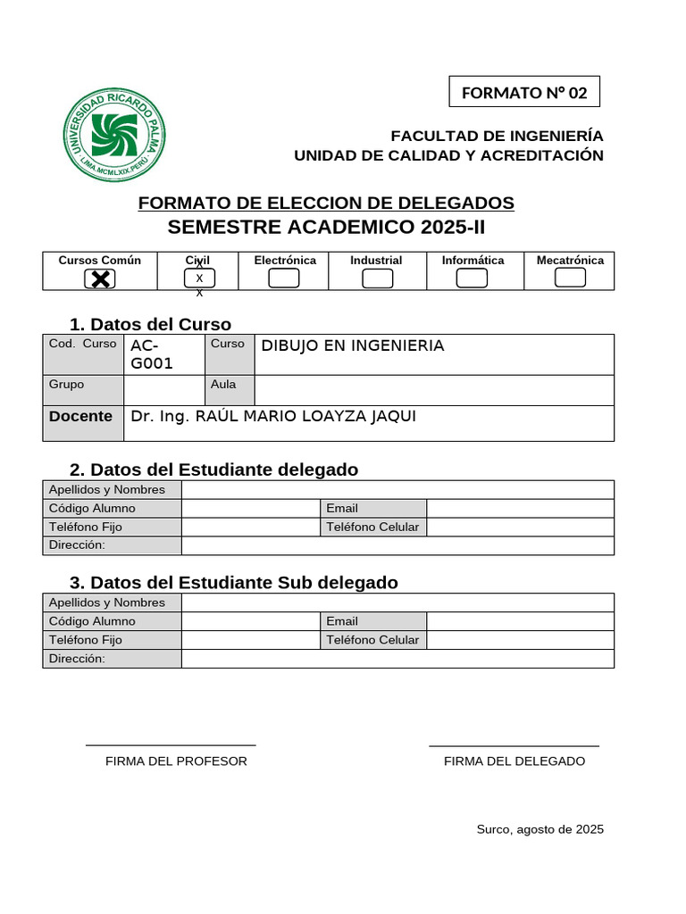Formato Dibujo Delegados 2025-2 | PDF